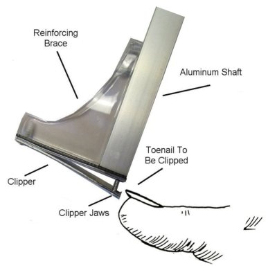 Align the Pedi Clipper